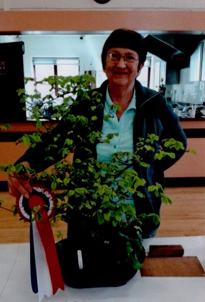 Rosemary - Bonsai, best in show