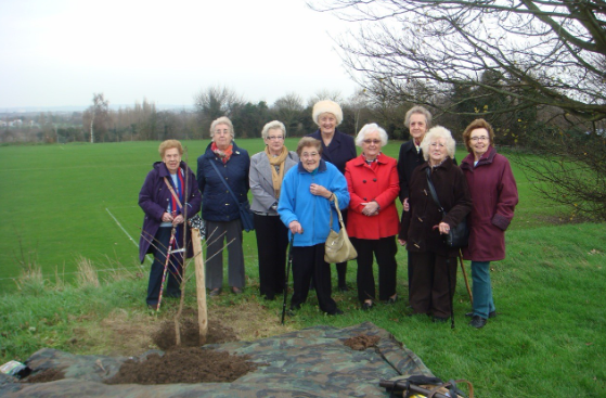 Borden WI members planted a flowering cherry tree tree  on The Playstool to commemorate the Centenary of The National Federation of Womens Institutes 2015