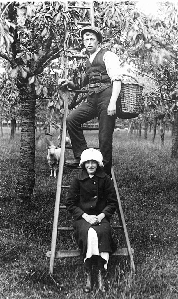 Fruit Picking