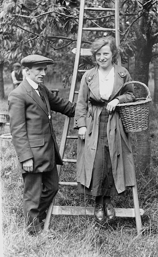 Fruit Pickers
