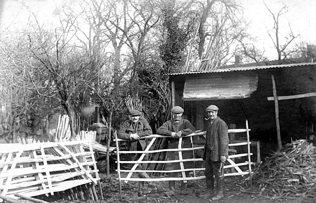 Local farmers