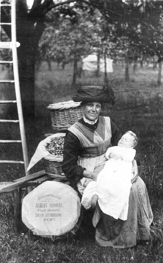 Fruit picker & baby