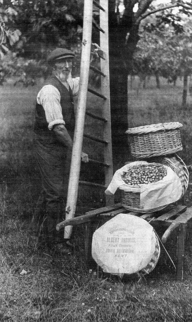 Man with Ladder